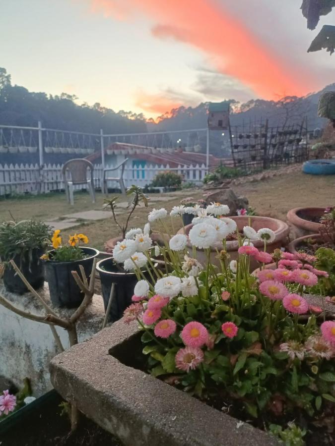 Mohraj Home Stay Bhowali Luaran gambar