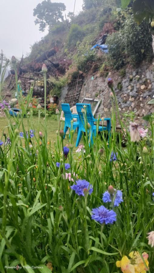 Mohraj Home Stay Bhowali Luaran gambar